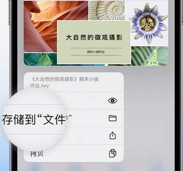 苏州apple维修中心分享iPhone文件应用中存储和找到下载文件