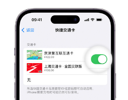 苏州apple维修点分享iPhone上更换Apple Pay快捷交通卡手绘卡面 