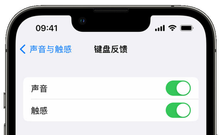 苏州苹果手机维修分享iPhone 14触感键盘使用方法 