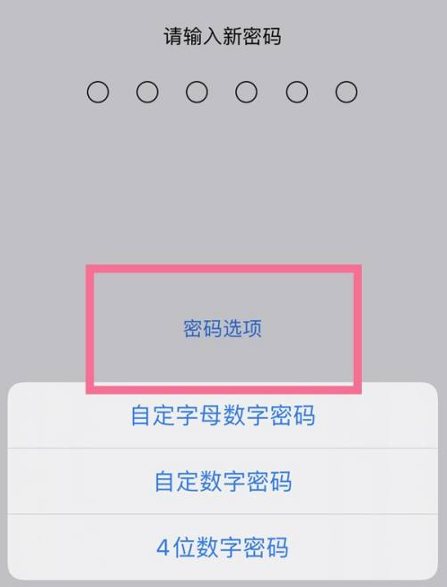 苏州苹果14维修分享iPhone 14plus设置密码的方法 