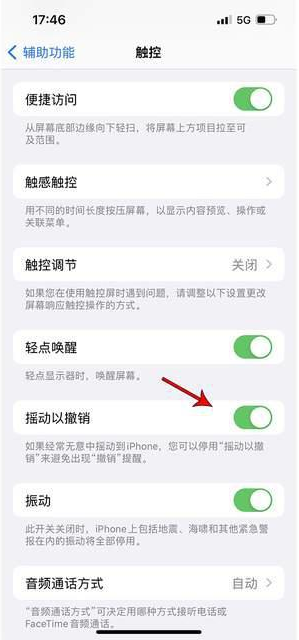 苏州苹果手机维修分享iPhone手机如何设置摇一摇删除文字 