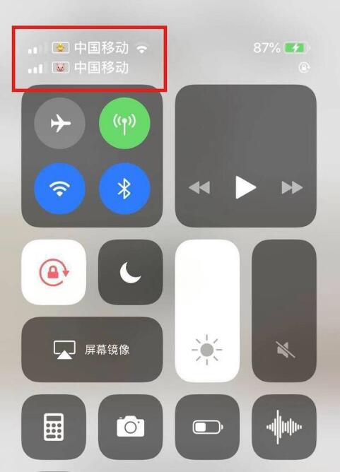 苏州苹果手机维修分享为 iPhone 12 双卡设置标签 