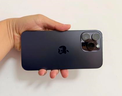 苏州苹果维修点分享iPhone 14 Pro Max发烫多重诱因剖析 